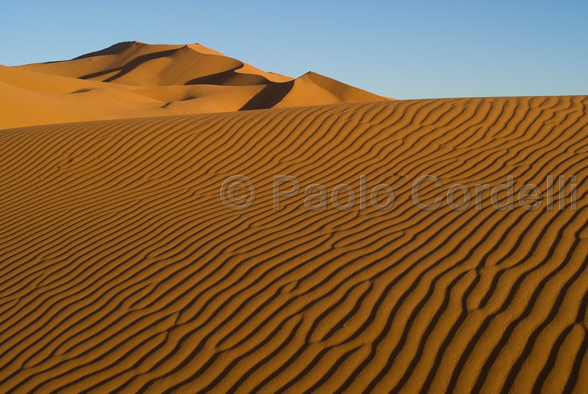 Erg Chebbi sand dunes, Merzouga, Morocco
 (cod:Morocco 25)